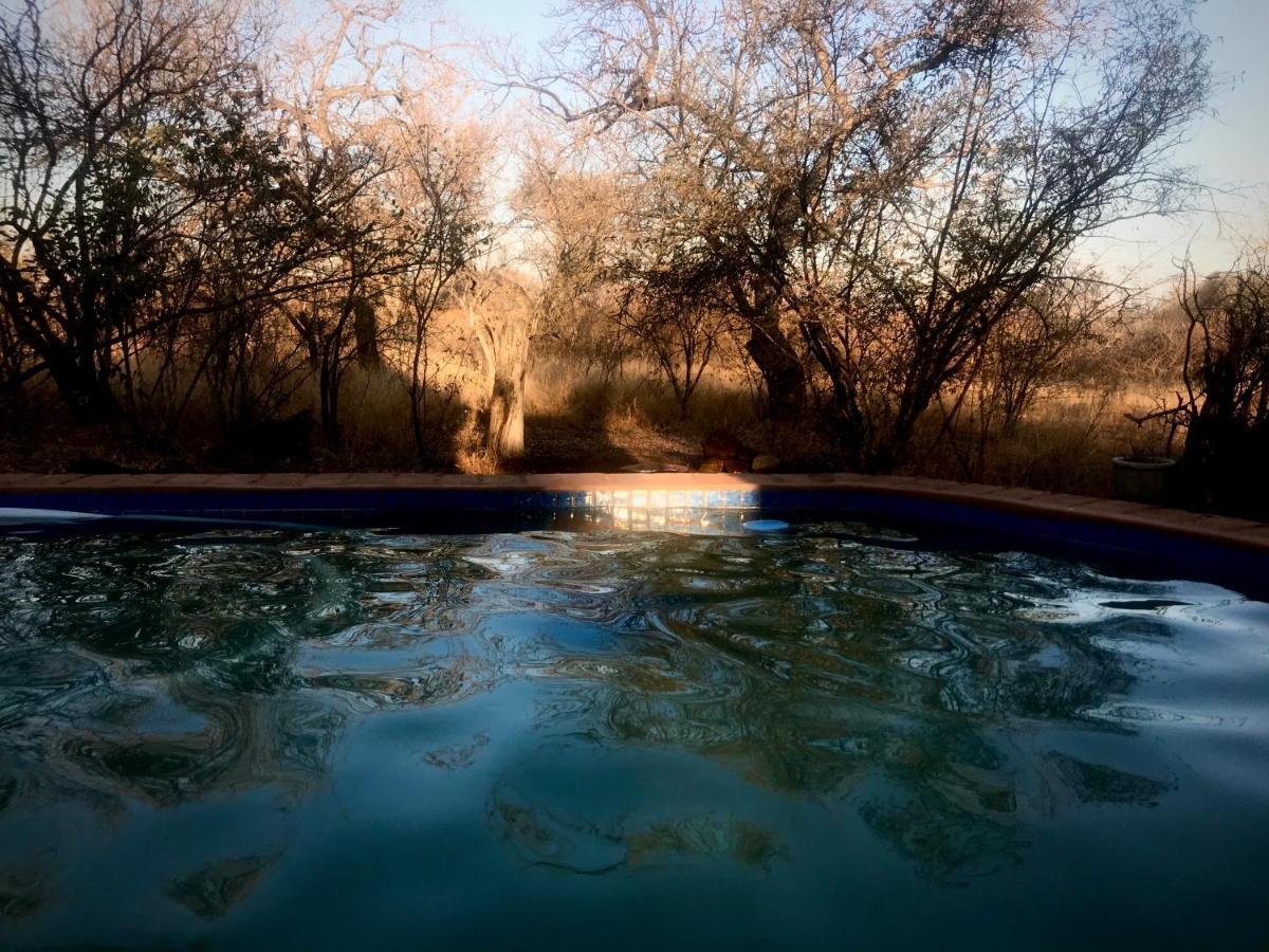 The Bush Hut Villa Hoedspruit Exterior photo