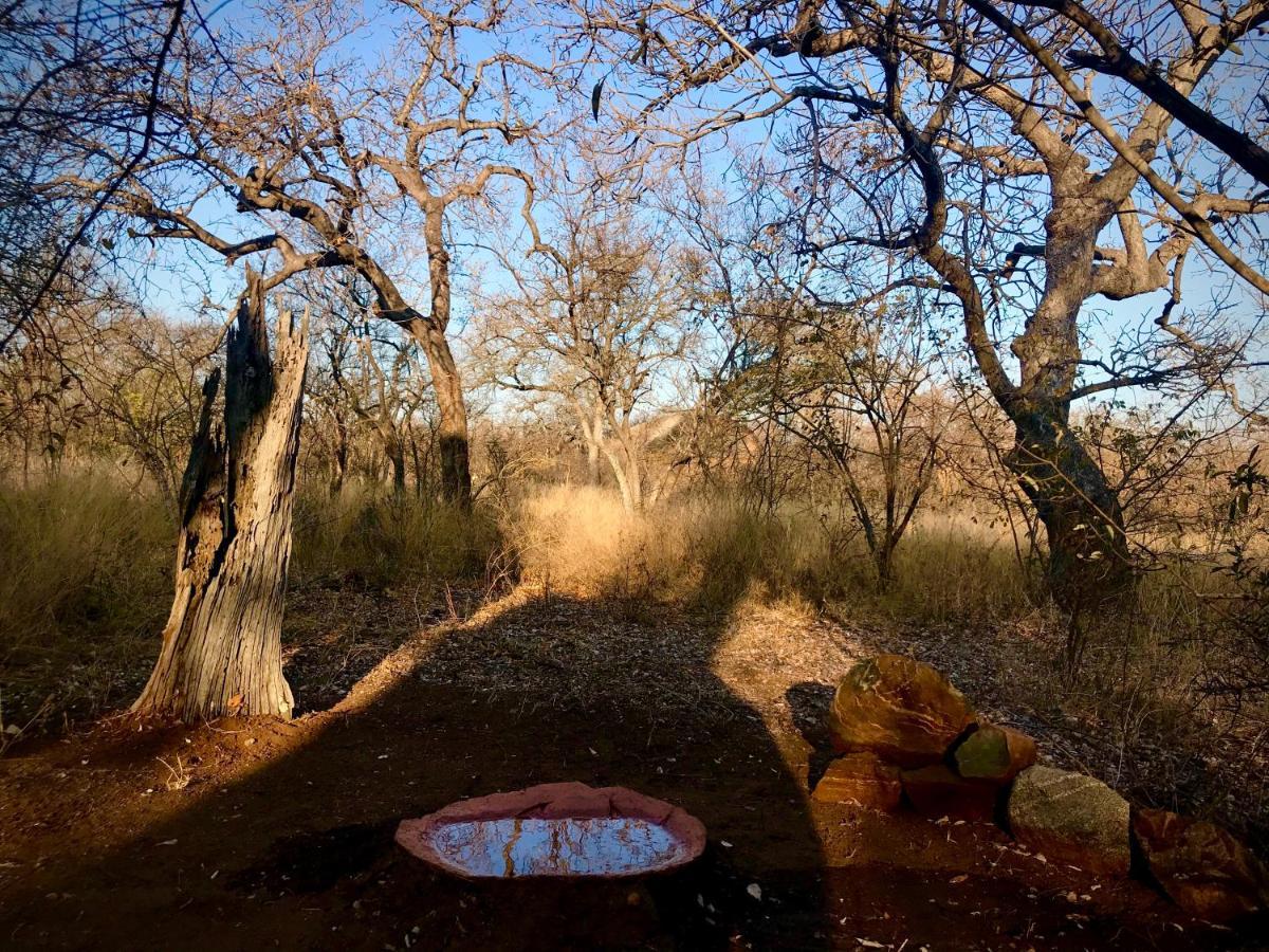 The Bush Hut Villa Hoedspruit Exterior photo